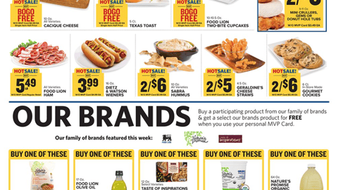 Food Lion 'Donate $5' Feature